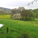 0505F 27 Diemel