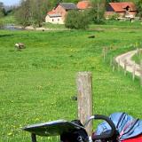0505F 49 Diemel