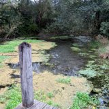 2010W 10 Pader Wanderweg