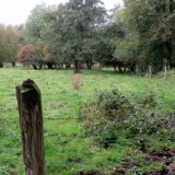 2010W 11 Pader Wanderweg