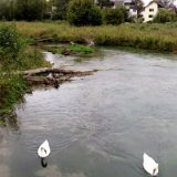 2010W 17 Pader Wanderweg