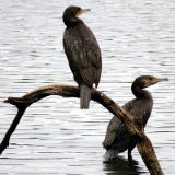 2010W 20 Pader Wanderweg