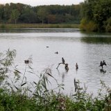 2010W 21 Pader Wanderweg