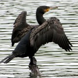 2010W 22 Pader Wanderweg