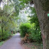 2010W 24 Pader Wanderweg