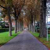 2010W 54 Pader Wanderweg