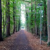 2010W 56 Pader Wanderweg