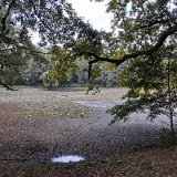 2010W 58 Pader Wanderweg