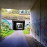 2010W 60 Pader Wanderweg