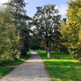 2010W 62 Pader Wanderweg