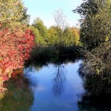 2010W 63 Pader Wanderweg