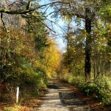 2011X 08 Um Wewelsburg