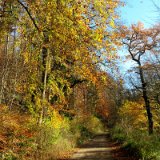 2011X 09 Um Wewelsburg
