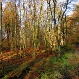 2011X 10 Um Wewelsburg