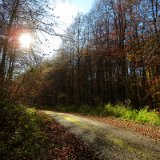 2011X 11 Um Wewelsburg