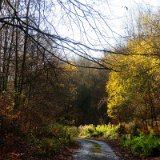 2011X 12 Um Wewelsburg