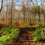 2011X 15 Um Wewelsburg