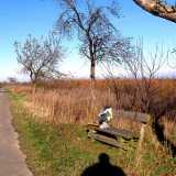 2011X 16 Um Wewelsburg