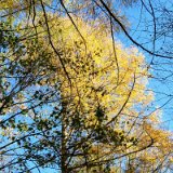 2011X 19 Um Wewelsburg