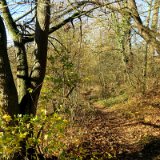 2011X 21 Um Wewelsburg