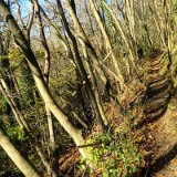 2011X 26 Um Wewelsburg