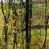 2011X 27 Um Wewelsburg