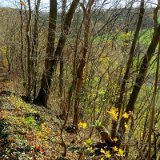 2011X 28 Um Wewelsburg