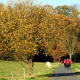 2011X 34 Um Wewelsburg