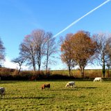 2011X 35 Um Wewelsburg