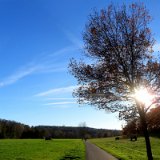 2011X 36 Um Wewelsburg