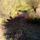 2011X 38 Um Wewelsburg