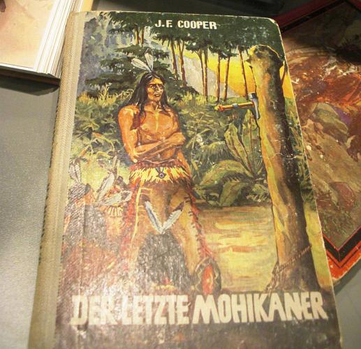 Bild_Buch-Der_letzte-Mohikaner_132_g.JPG