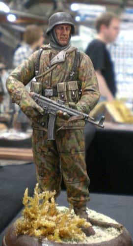 Fig-Soldat_8722_w.JPG