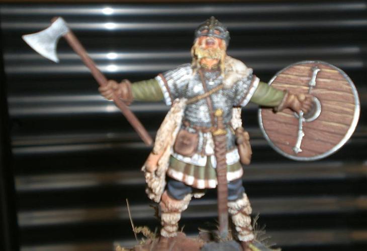 Fig-Wikinger_684_w.JPG