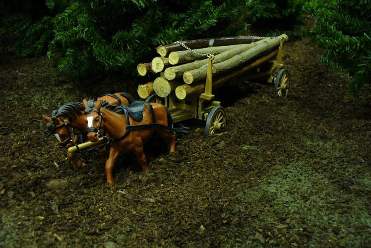 Dio-Holztransport_434_b.JPG