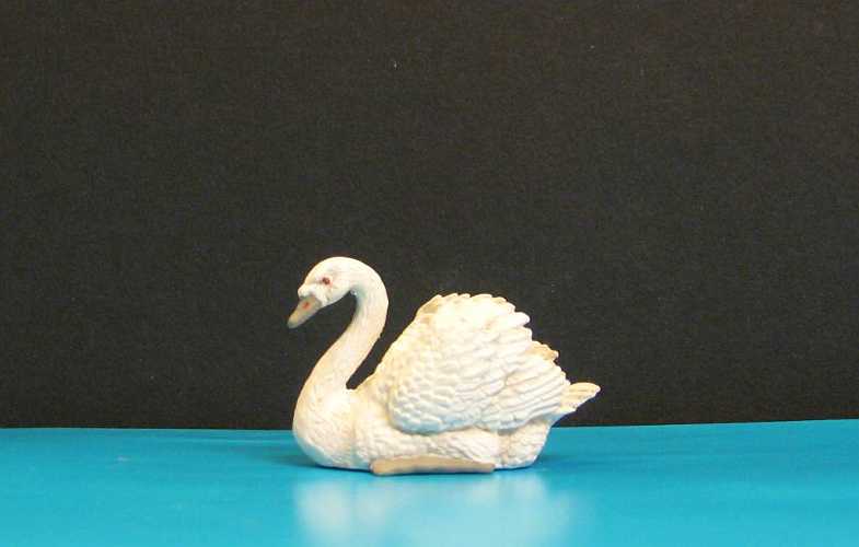 Tir001_Schwan.jpg