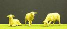 bau006_Schafe_(Preiser)