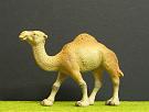 rei203_Dromedar_(Schleich)