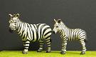 wil012_Zebra