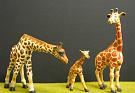 wil014_Giraffe_(schleich)