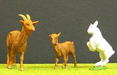 F10_2_Bauernhof_Tiere